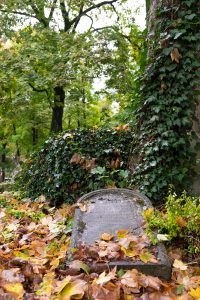 Cette pierre tombale recouverte de feuille d'automne offre un graphisme et une poésie qui nous fait oubliée que nous sommes dans un cimetière.