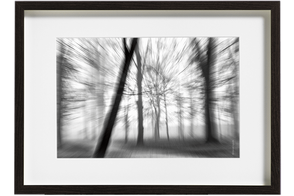 Dans un sous bois des arbres dans la brume donnent un sentiment d'éclatement appuyé par un effet de zooming.