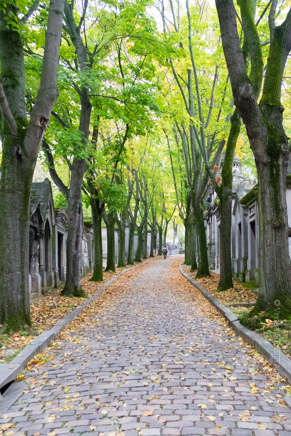 Une des allées du cimetière du Père Lachaise remontant vers le crématorium.