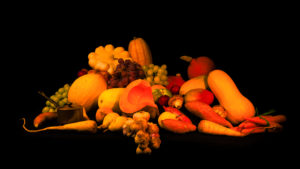 Camer Singulier Vincent Aglietti Auteur Photographe. Photo nature morte. Automne