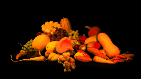 Camer Singulier Vincent Aglietti Auteur Photographe. Photo nature morte. Automne