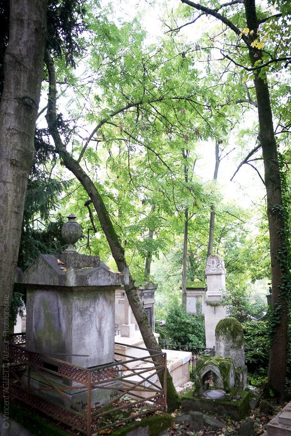 Vue en escalier du cimetière du Père Lachaise.
