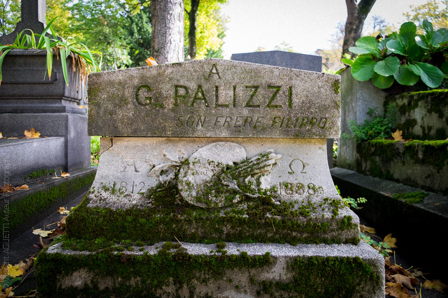 Tombeau de Guiseppe Palizzi peintre néo-romantique italien. cimetière du Père Lachaise