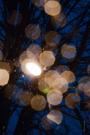 Pendant une chute de neige, un réverbère allumé transforme les flocons en cristaux.