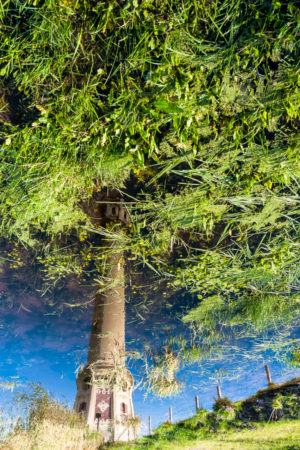 Reflet d'un Phare, un phare se reflétant dans une mare se prend pour un arbre.