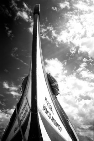 Vamos. Moliceiros bateaux de p&ecirc;che des c&ocirc;tes portugaises.