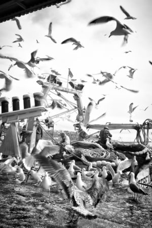 Le Bal Des Oiseaux. Les pêcheurs de Sinés reprisent leurs filets.