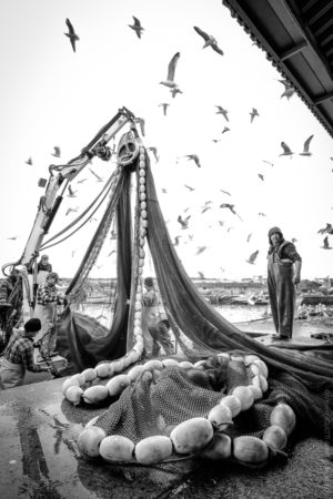 Collier de Pêche. A Sinès au Portugal les bateaux vident leur pêche