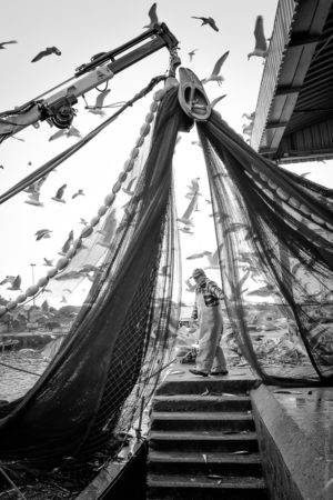 Rideau de Pêche. Les pêcheurs rentrent les filets sur le bateau.