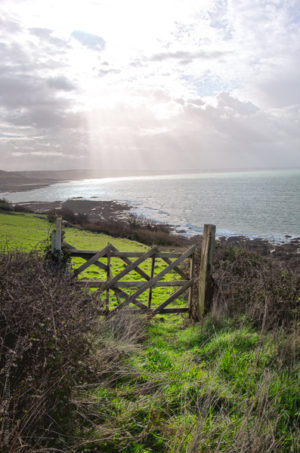 Champs sur Mer. Un Champ perch&eacute; sur le littoral du Cotentin.