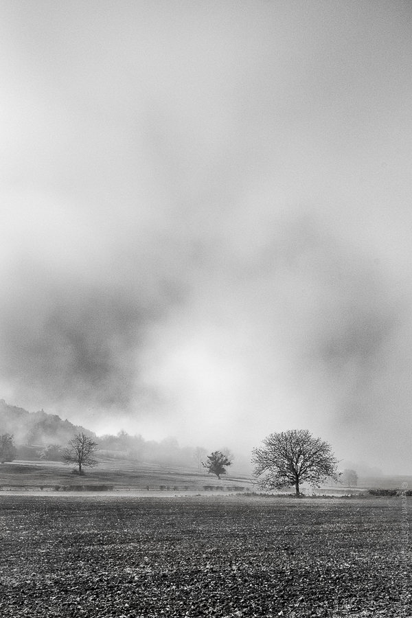 Champs de Brume. Un paysage d'hiver paré de brume.