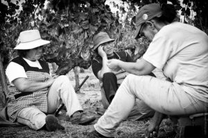 Déjeuner sur l'Herbe. Les femmes se retrouvent pendant la pause déjeuner.