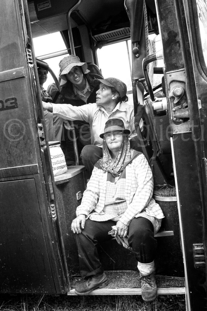 Vendangeurs montant dans un bus entre deux parcelles de vigne près d'Évora, dans l'Alentejo.