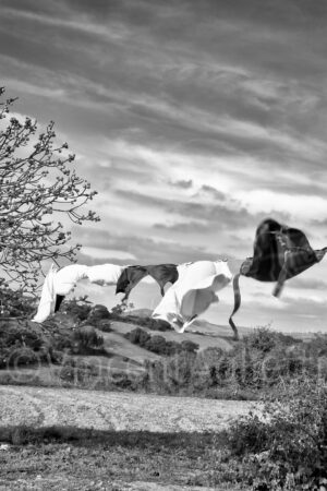 Linge suspendu au vent dans la campagne de l'Alentejo au Portugal – photographie Fine Art