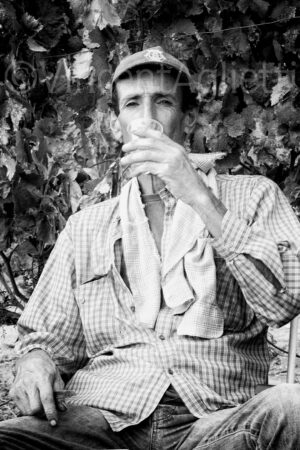 Vendangeur partageant un verre de vin à la fin des vendanges près d'Évora, dans l'Alentejo.