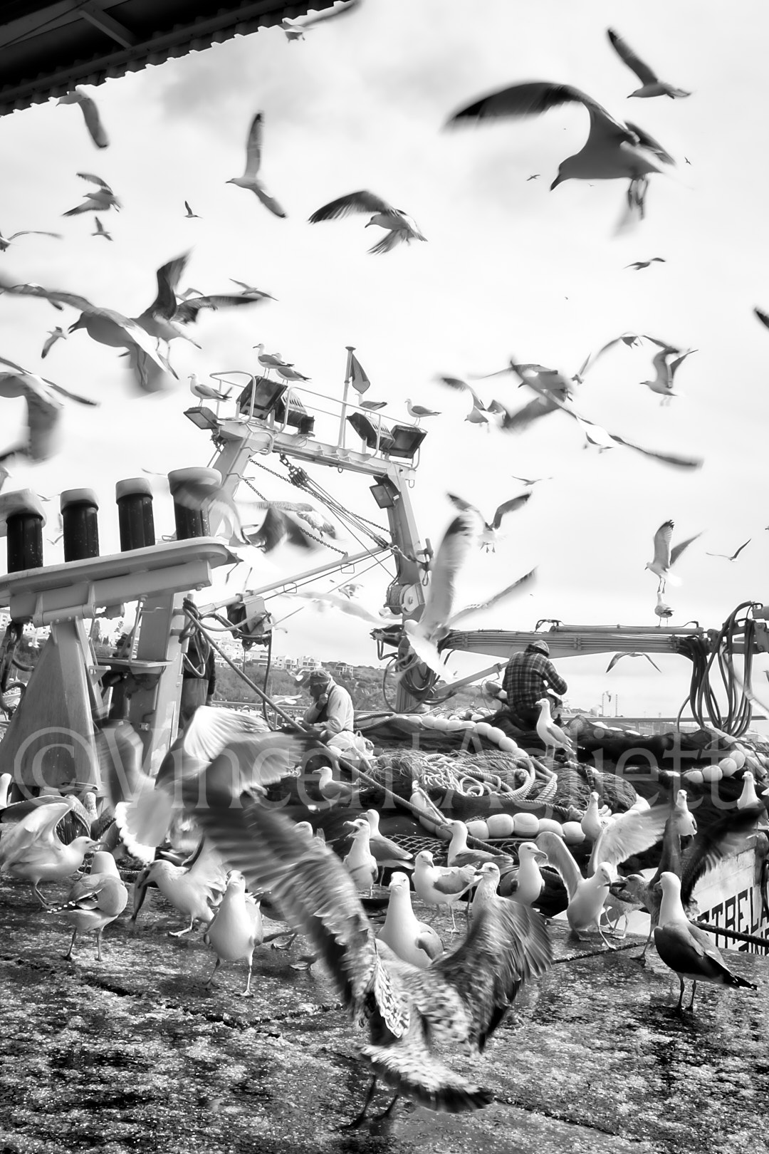 Mouettes en plein vol au-dessus d'un chalutier et des pêcheurs déchargeant leurs filets dans un port portugais.