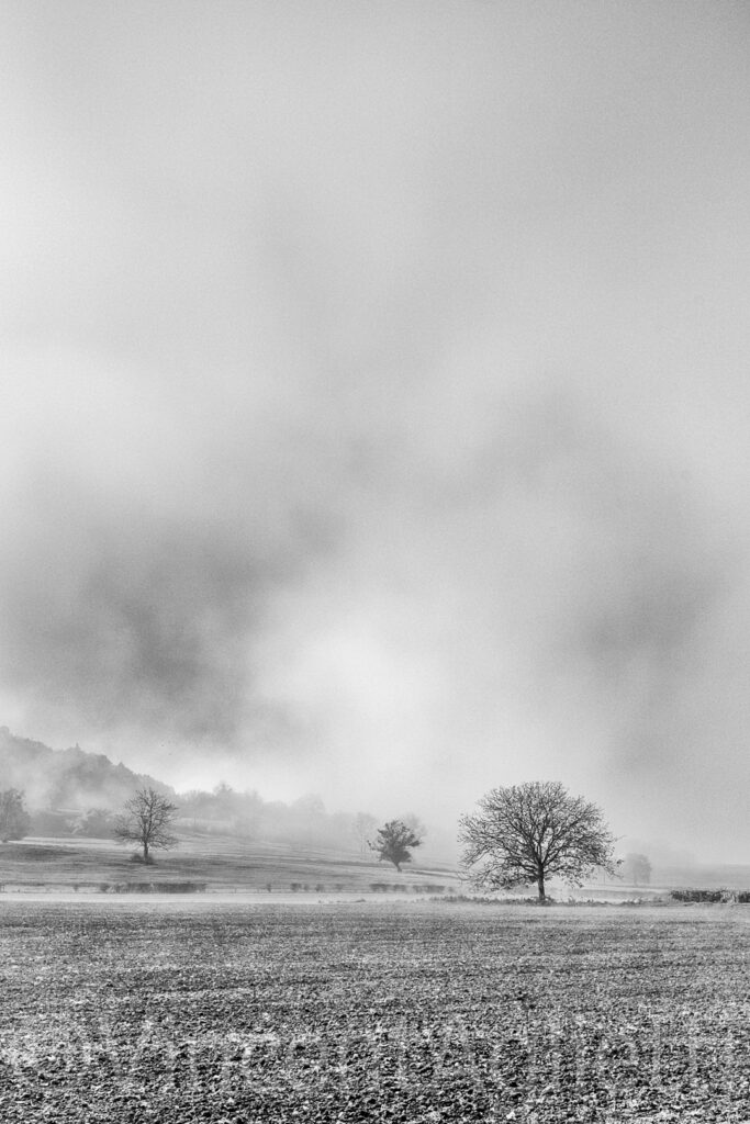 Champ et arbres dans la brume en Bourgogne photographiés en noir et blanc